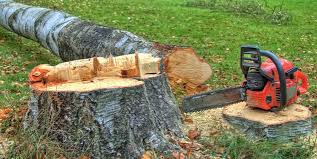 Best Lot and Land Clearing  in Marietta Alderwood, WA
