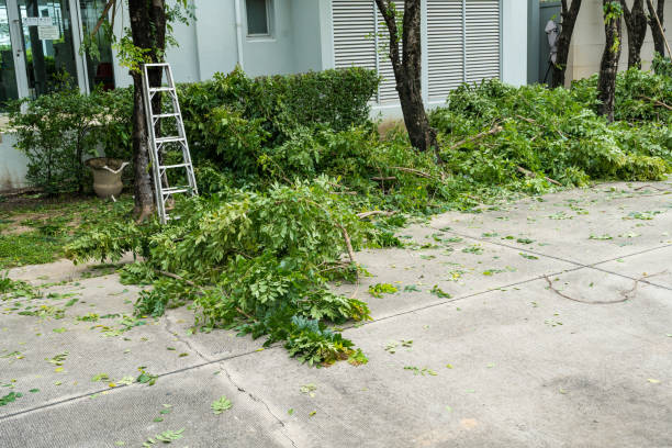 Best Storm Damage Tree Cleanup  in Marietta Alderwood, WA