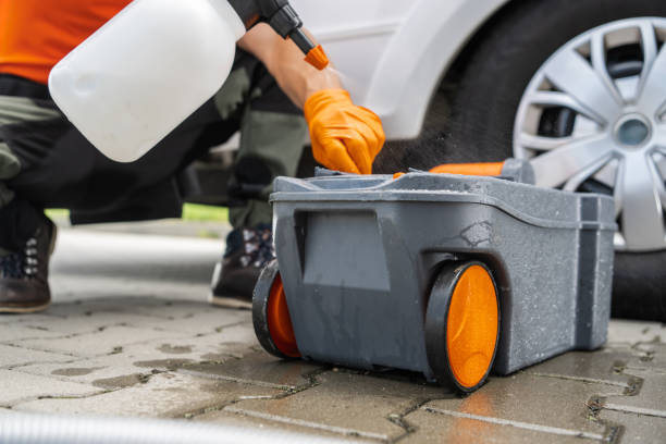 How Our Tree Care Process Works  in  Marietta Alderwood, WA