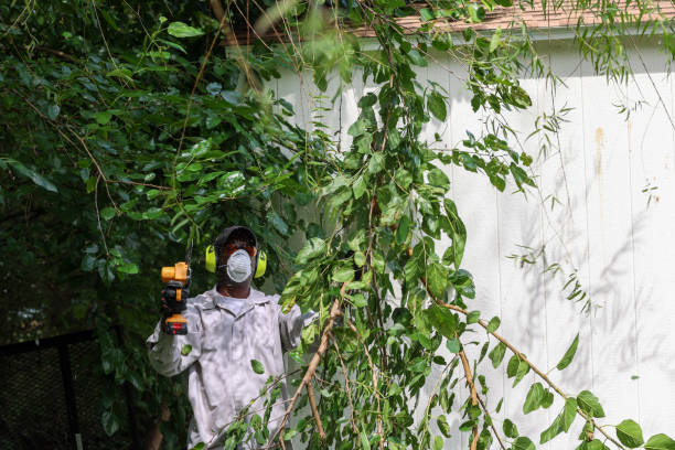 Best Tree Preservation Services  in Marietta Alderwood, WA